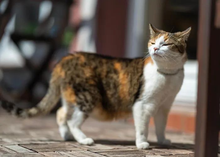 Adam 3* Szklarska Poręba